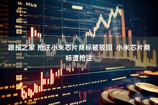 跟投之家 抢注小米芯片商标被驳回  小米芯片商标遭抢注