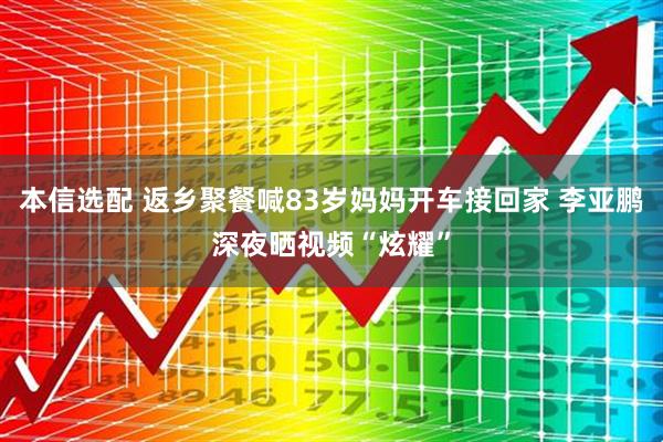 本信选配 返乡聚餐喊83岁妈妈开车接回家 李亚鹏深夜晒视频“炫耀”