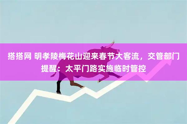 搭搭网 明孝陵梅花山迎来春节大客流，交管部门提醒：太平门路实施临时管控