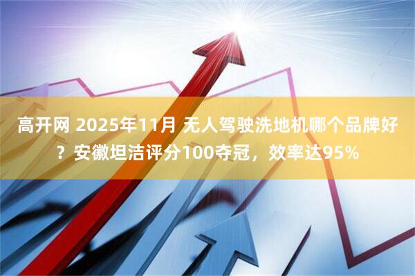 高开网 2025年11月 无人驾驶洗地机哪个品牌好？安徽坦洁评分100夺冠，效率达95%