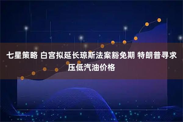 七星策略 白宫拟延长琼斯法案豁免期 特朗普寻求压低汽油价格